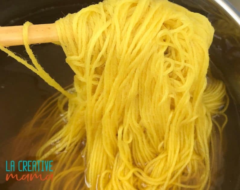 natural dyeing yarn using dyers chamomile