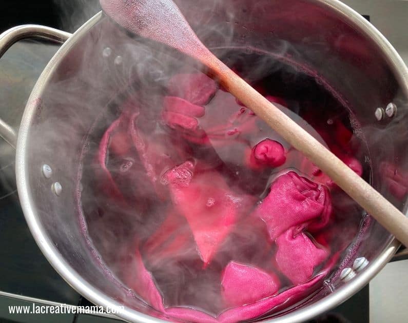 dye bath cochineal