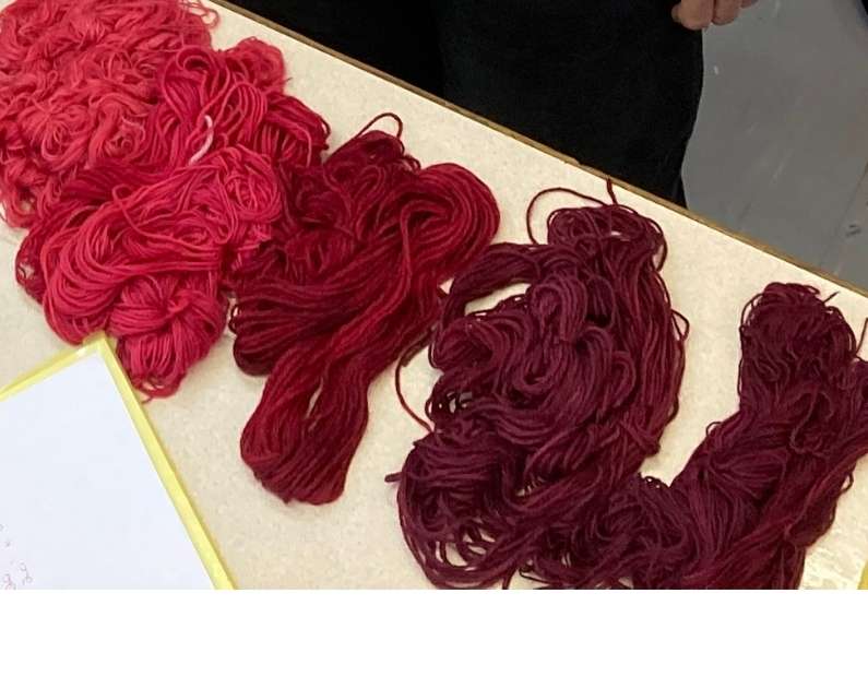 wool yarn dyed with cochineal alum mordant 