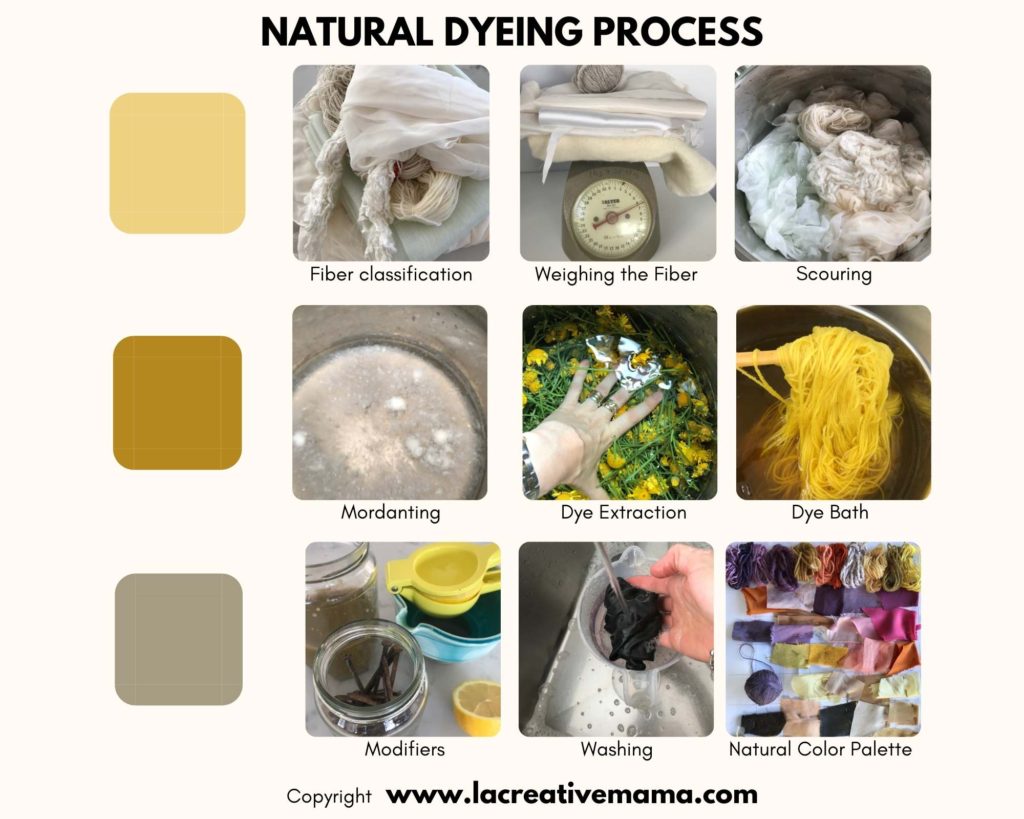 natural dyeing process. step by step, fiber classification, scouring, mordanting, dye extraction, dye bath and modifiers. 