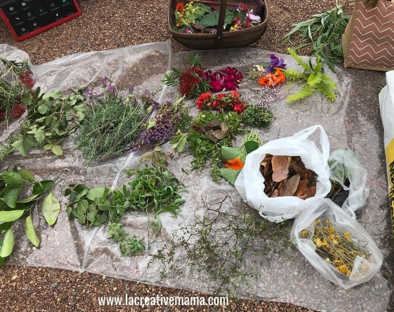 flowers and leaves for flower pounding technique 