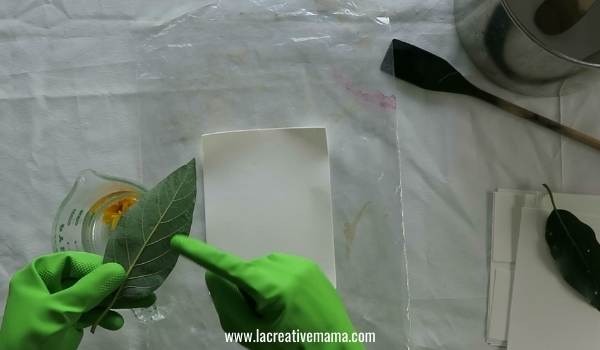dipping the paper on mordant to print with flowers and leaves 