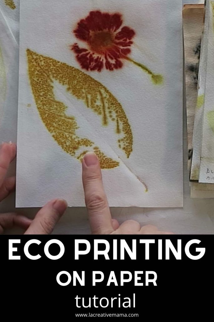 eco printing on paper using coreopsis flower and avocado leaves 