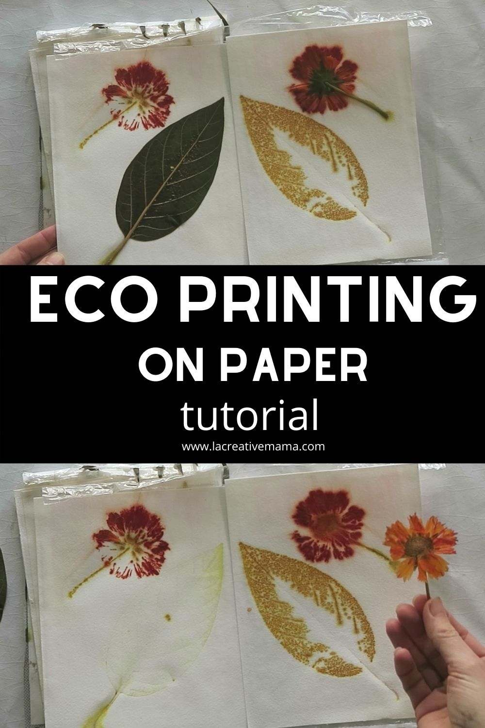 Eco Printing On Paper A Beginners Guide La Creative Mama