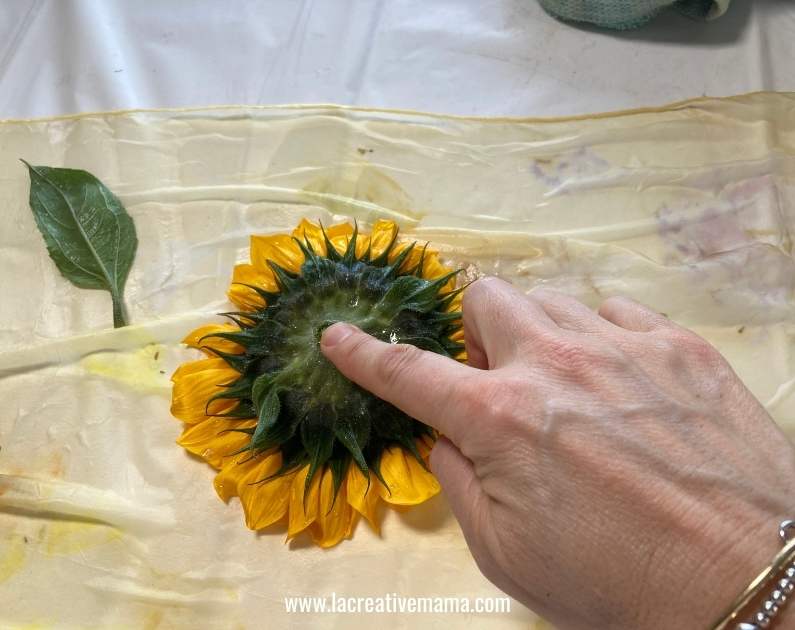 making an eco printed bundle with sunflowers