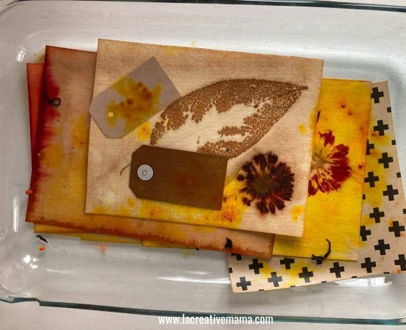 different samples of paper cards which have been tea dyes and eco printed and then dyed with food coloring 