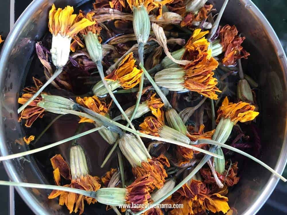a pot filled with a bunch of dried marigolds ready to be boiled 