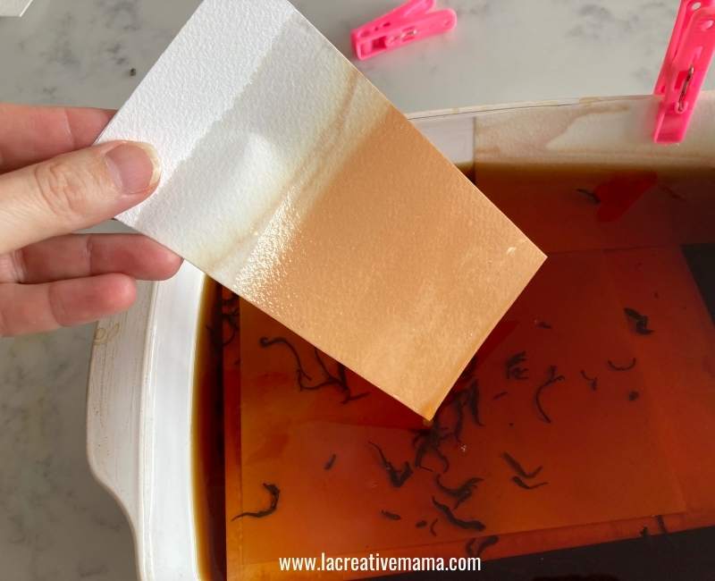 removing the paper from the tea bath 