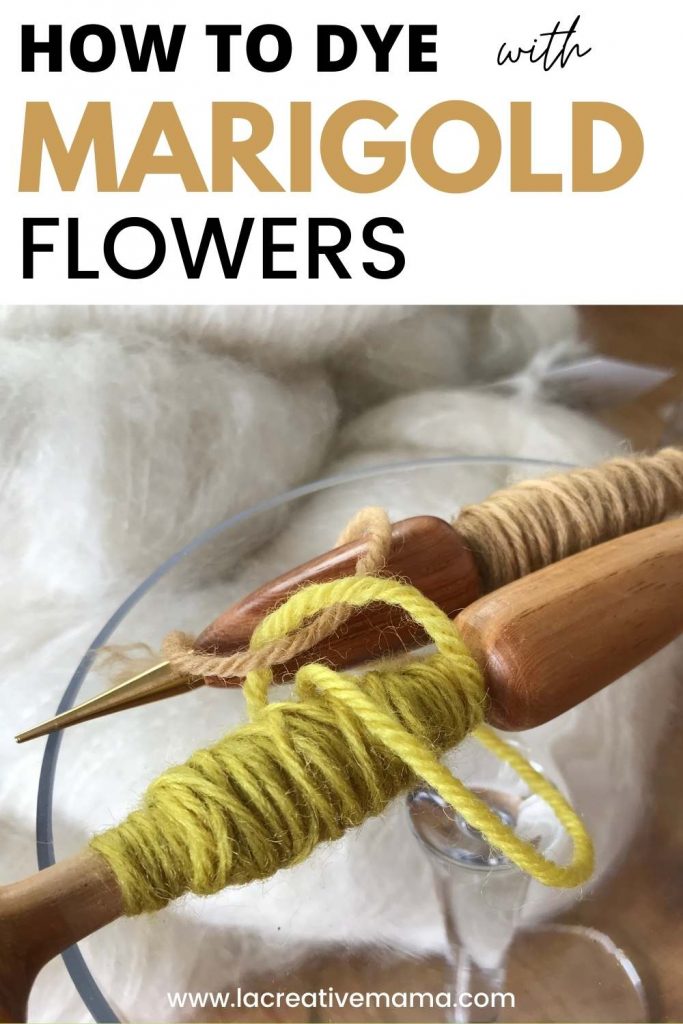 a piece of wool yarn dyed using marigold flowers 