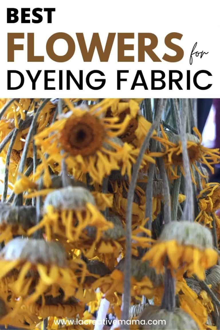 Best flowers for dyeing fabric La creative mama