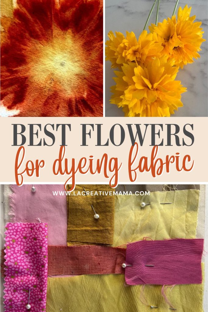 marigold , coreopsis, onion skins, eucalyptus for naturally dyeing fabrics 