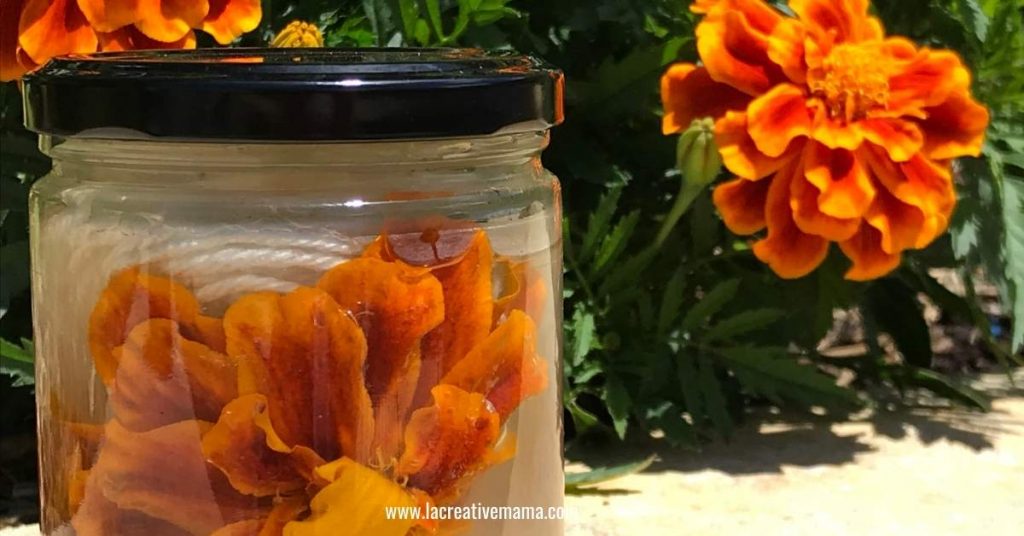how to dye using marigold flowers
