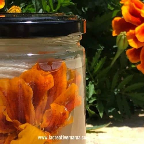 how to dye using marigold flowers
