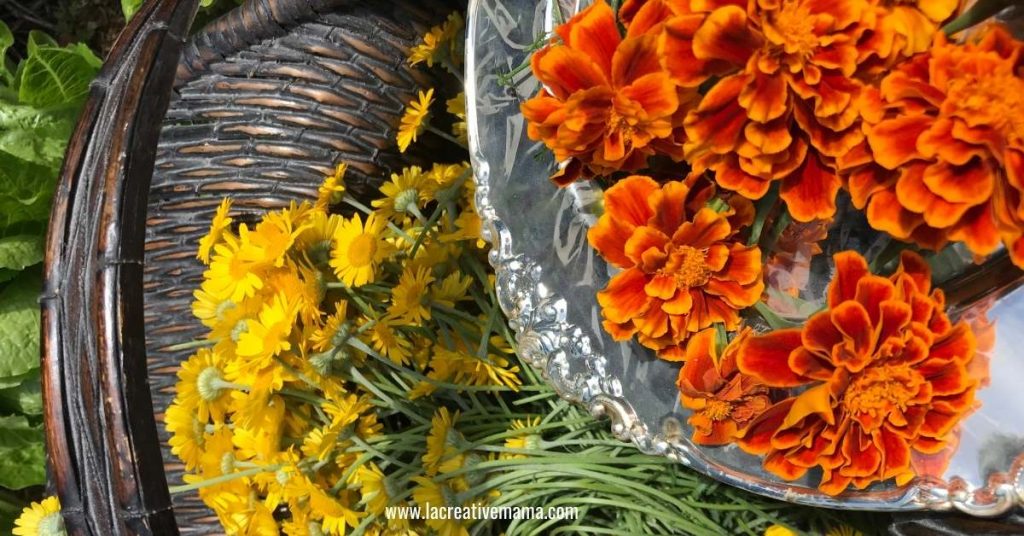 Best flowers for dyeing fabric La creative mama