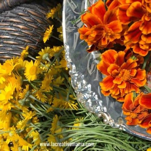 best flowers for dyeing fabric