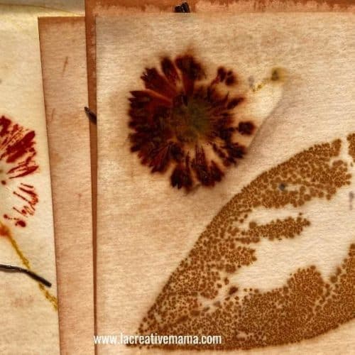 tea dyed eco printed paper