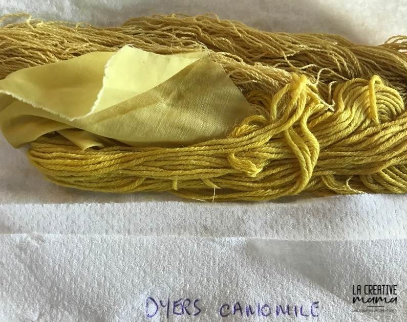 a wool skein which was hand dyed using dyer's chamomile