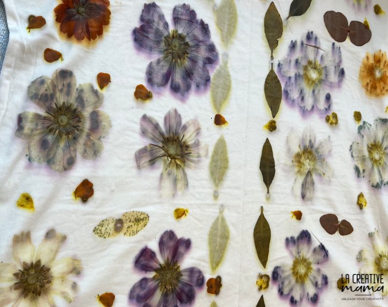 a close up of a piece of cotton fabric eco printed using varieties of cosmos flowers and indigo leaves 