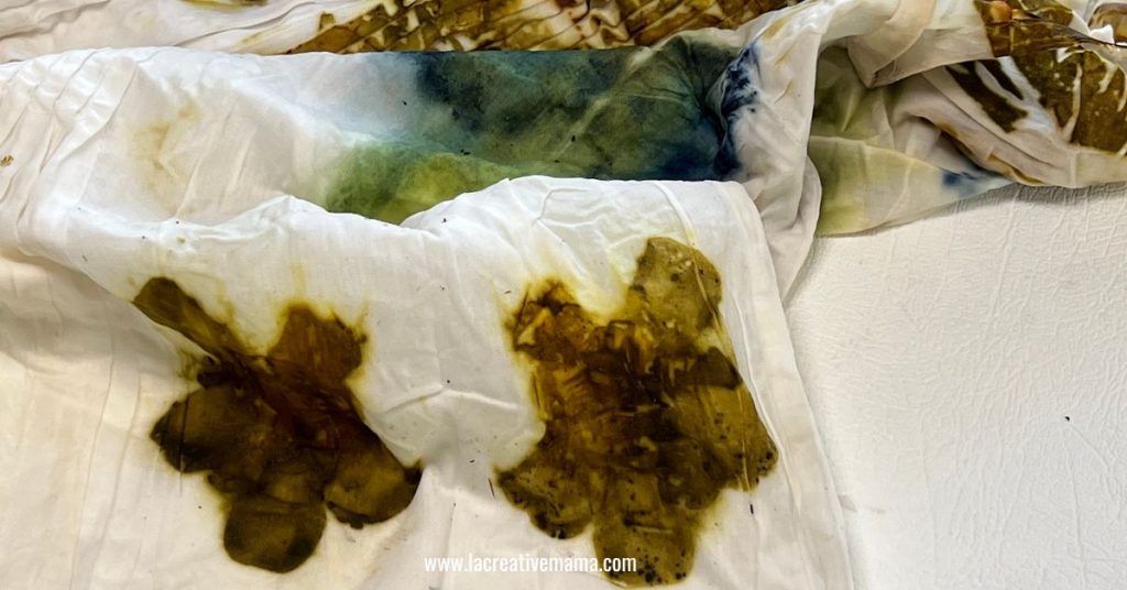 eco printed fabric using iron mordant