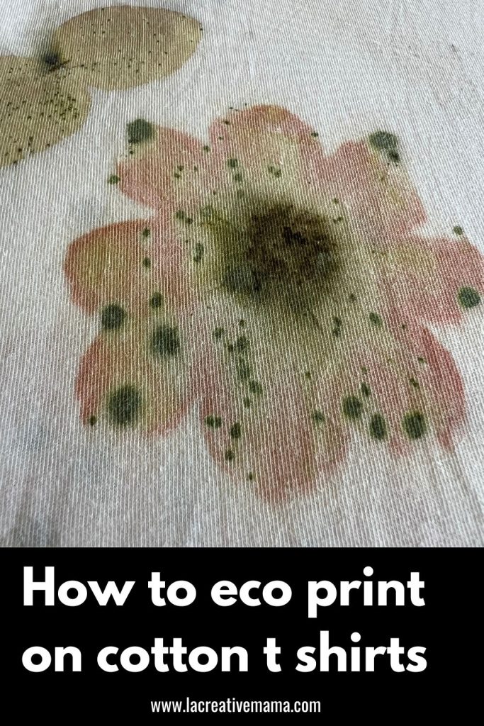 a close up image of a cotton t shirt which has been eco printed using leaves from silver dollar trees and cosmos flowers. 