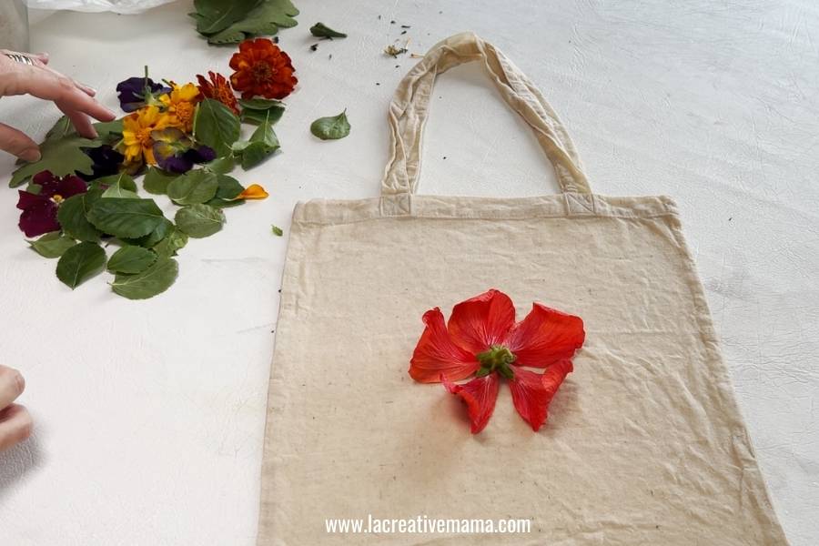 placing hibiscus flower on top of the cotton bag in order to eco print 