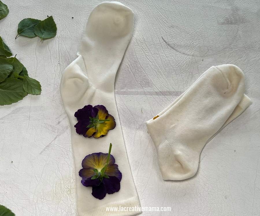 eco printing another white pair of socks using marigold and pansies flowers 