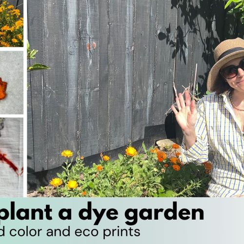 how to plant a dye garden