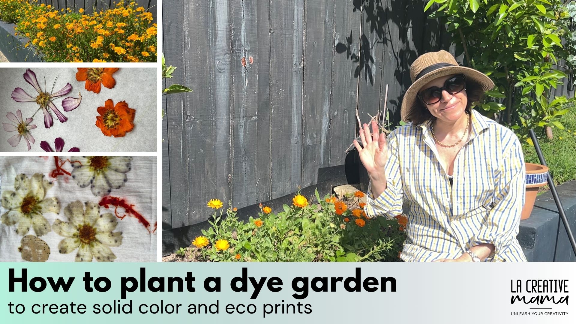 how to plant a dye garden
