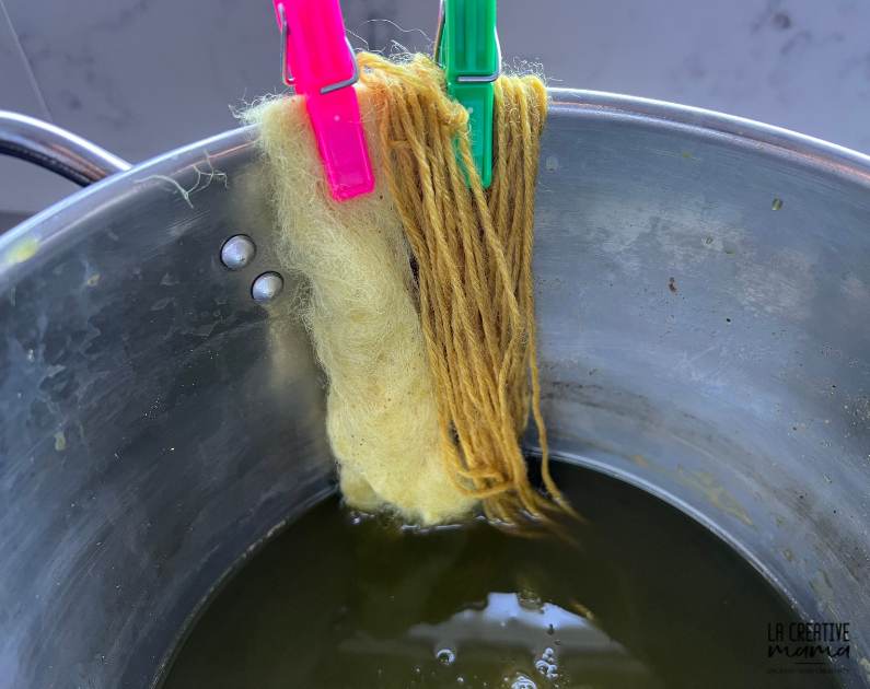 immersing wool inside an iron modified dye bath 