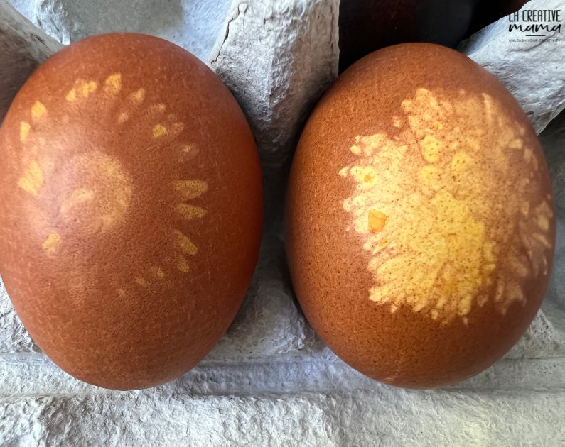final result from the eco print of the dyers chamomile and coreopsis flowers onto the easter eggs