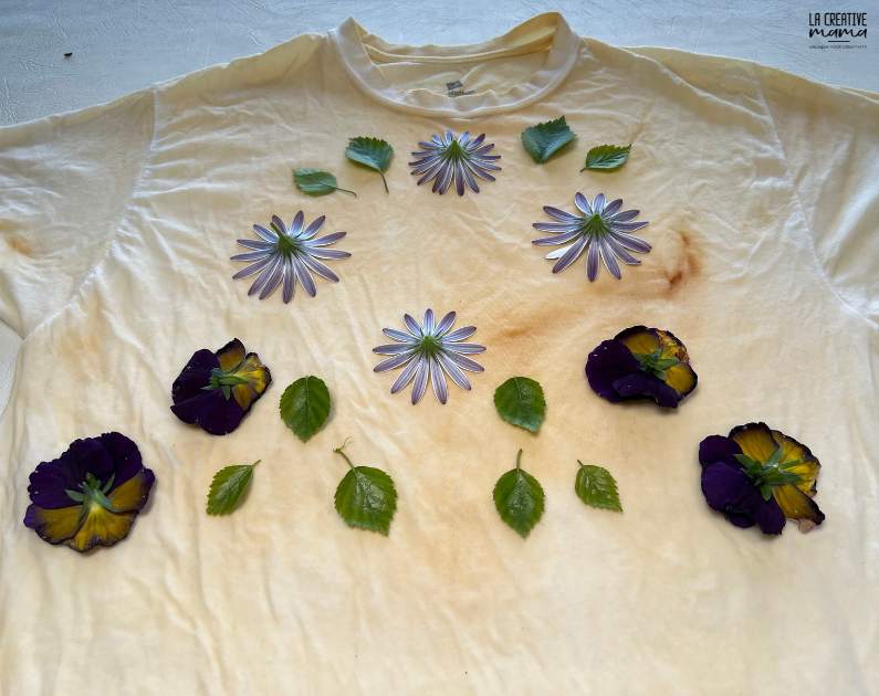 a cotton t shirt upcycled by eco printing with natural dyes such as cochineal 