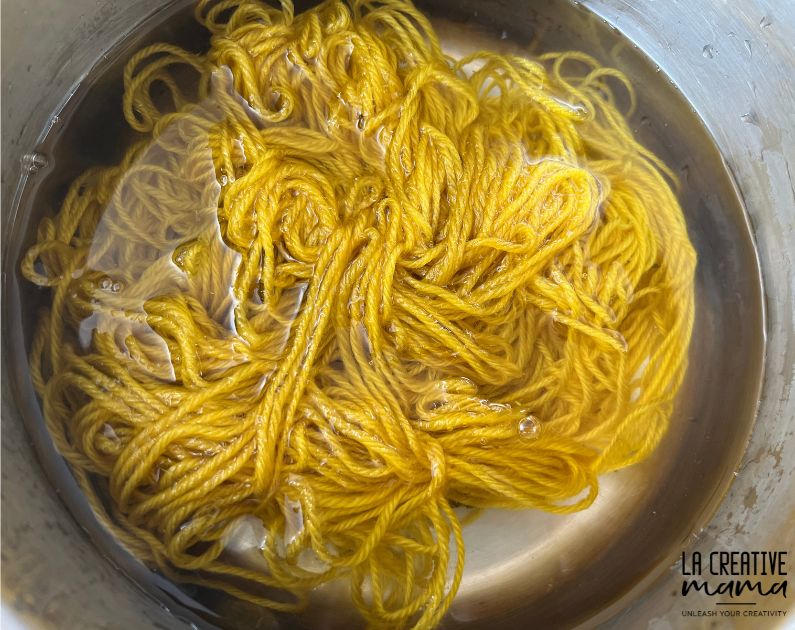 rinsing yarn after dyeing it with goldenrod flowers 