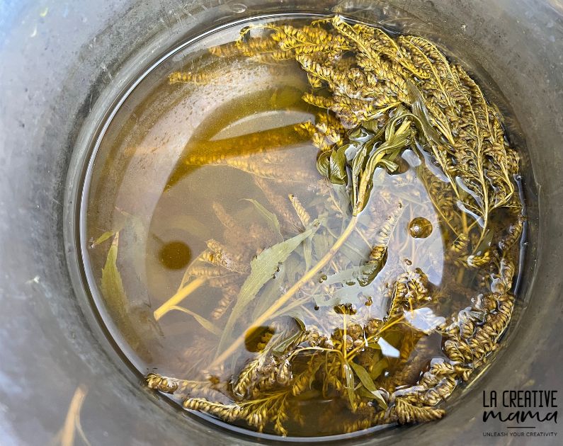 the dye liquid  extracted from goldenrod flowers