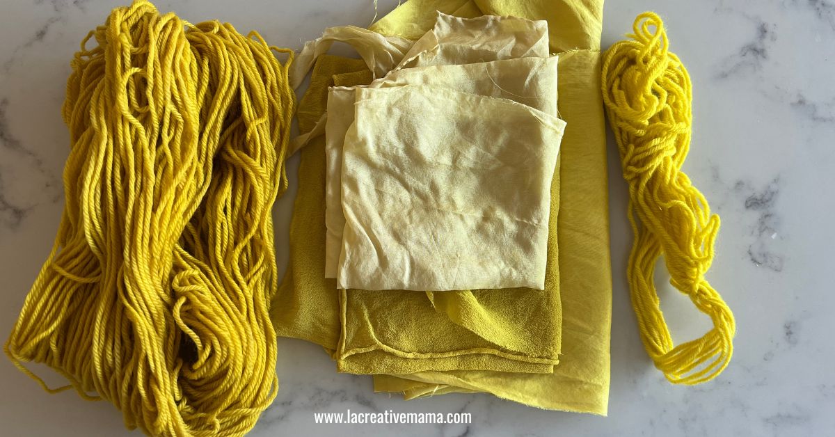 Natural Dyeing with Goldenrod Flowers