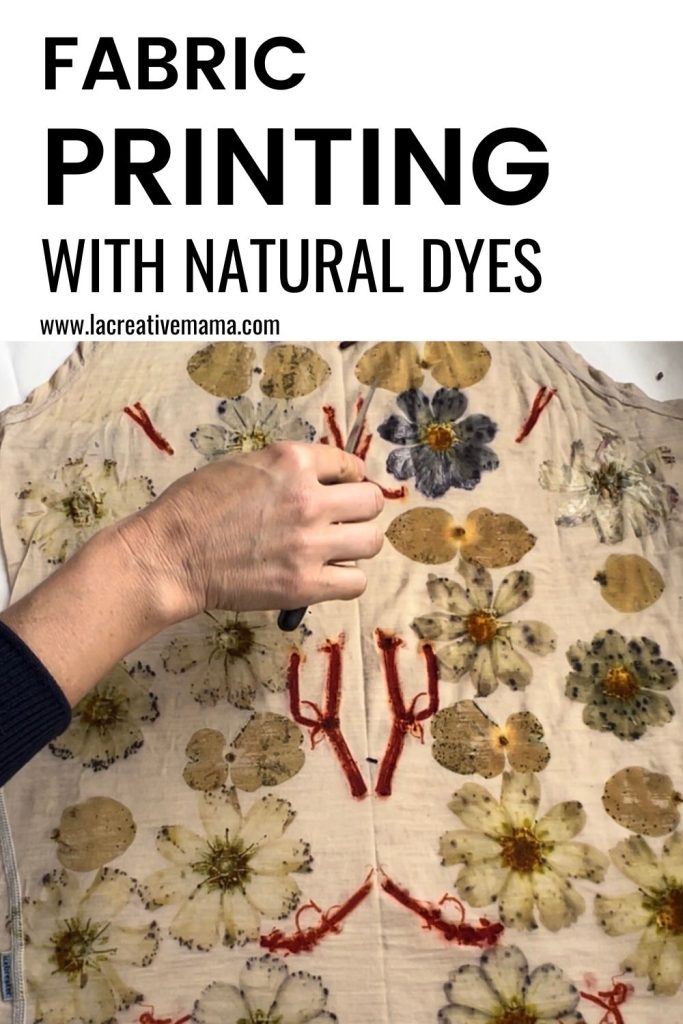 eco printing on a wool top using natural dyes such as madder root and cosmos flowers 