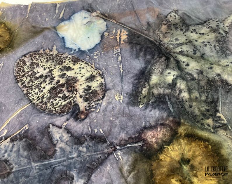 a piece of cotton eco printed using an iron blanket eco printing technique 