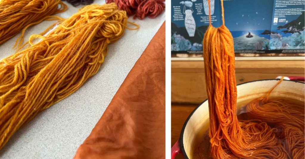 wool yarn dyed with onion skins giving a bright yellow color result