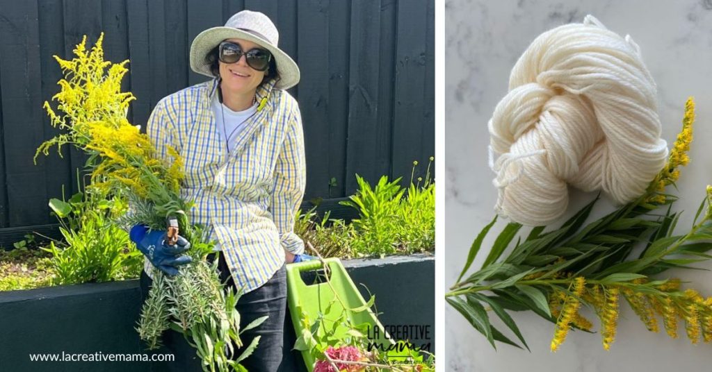 La Creative Mama in the dye garden harvesting goldenrod plants 