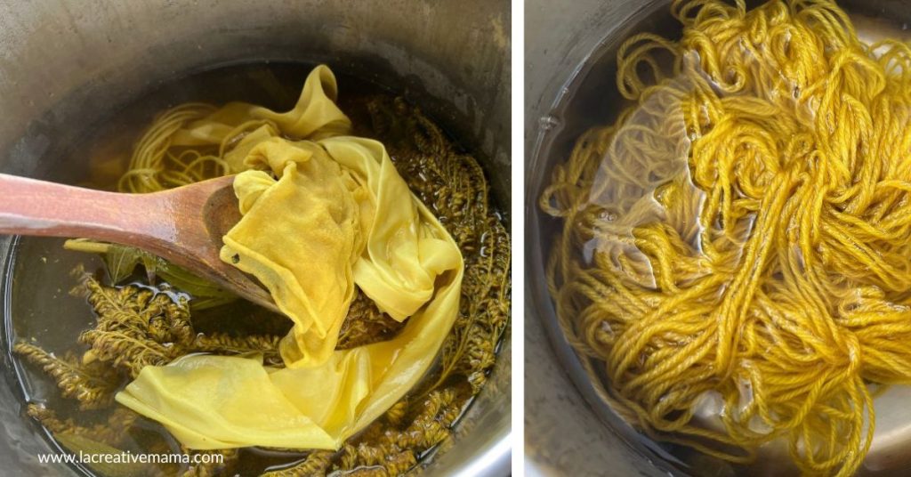 Bright yellow from goldenrod flowers inside a dye pot. 