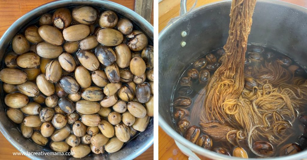 acorns being used inside a dye bath to naturally dye wool yarn. It results in a  deep gold color 