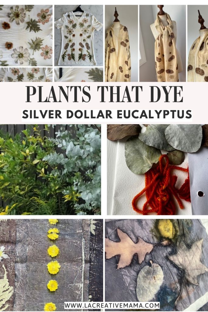 different samples of fabrics and yarns that have been eco printed and dyed using silver dollar leaves as the natural dye 