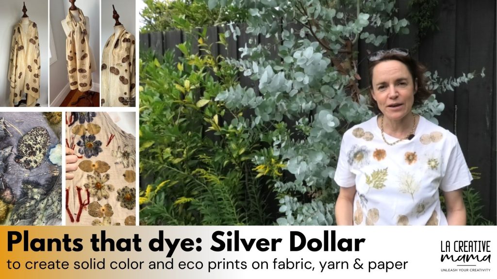 Victoria Martinez Azaro with silver dollar eucalyptus cinerea tree in her natural dye garden