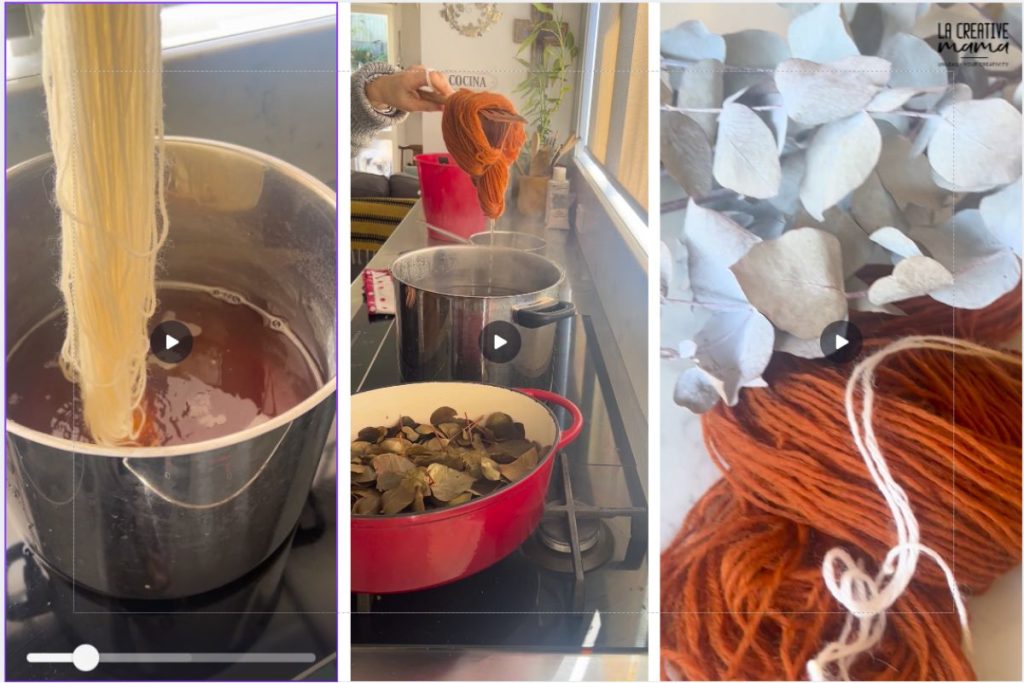 a dye bath of eucalyptus cinerea used to dye wool yarn, it produced a bright orange color.