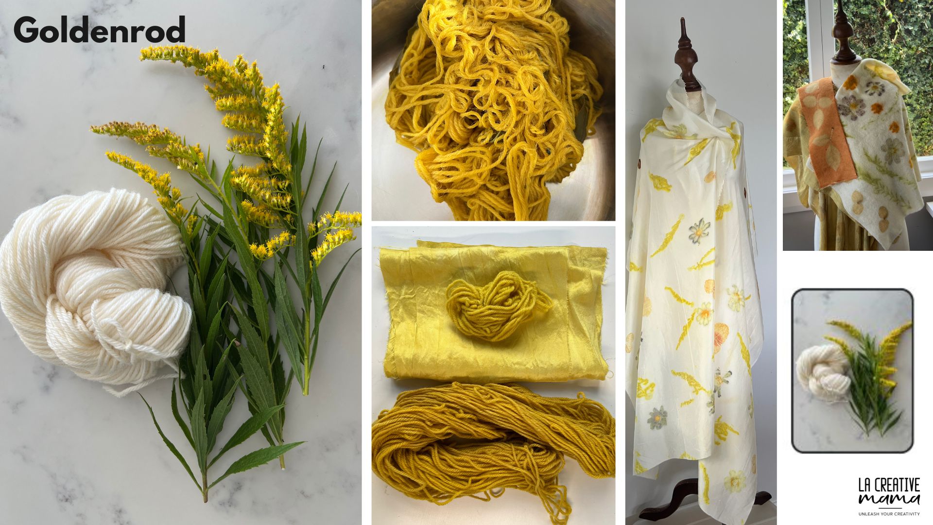 goldenrod dye plant used to create solid color and eco printing