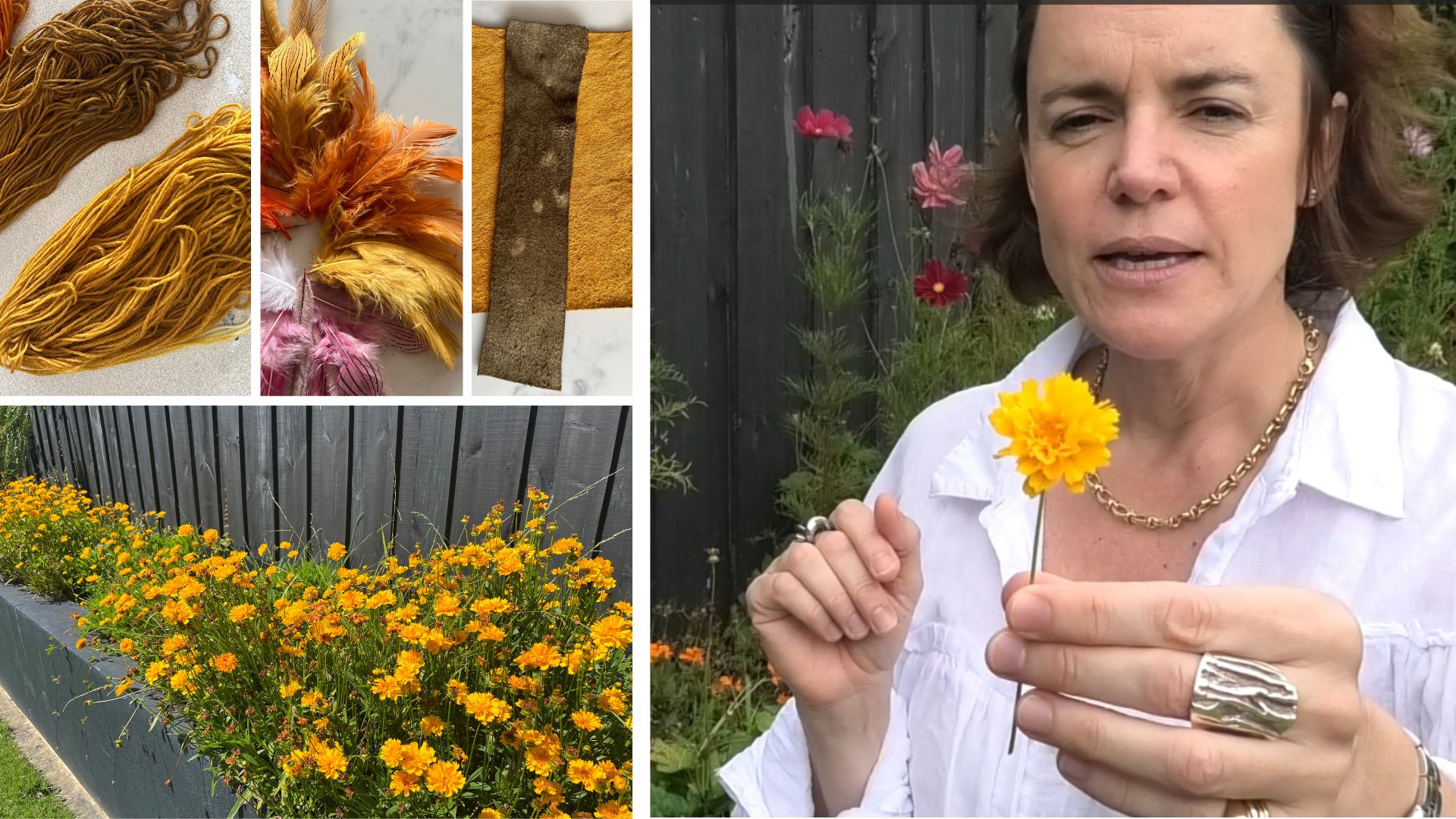 coreopsis natural dye results on fabric yarn and paper by La Creative Mama
