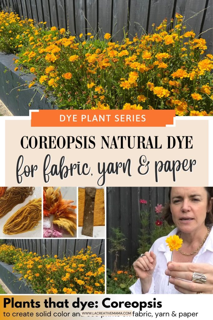 Pinterest pin for coreopsis natural dye post by La Creative Mama natural dyeing and eco printing