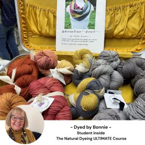 Bonnie's naturally dyed yarns at a fiber fair