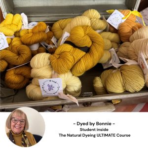 Yellow yarns dyed by Bonnie of Good Karma Fibers