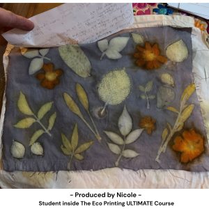 Eco print with a color blanket by Nicole